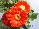 Published on 2/13/2013 ���ֹ�,��½�󷨵��ӹ�ףʦ��������֣�35����
