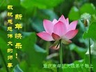 Published on 2/13/2013 ���ֹ�,��½�󷨵��ӹ�ףʦ��������֣�25����
