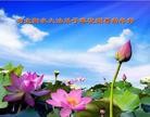 Published on 2/13/2013 ���ֹ�,��½�󷨵��ӹ�ףʦ��������֣�25����
