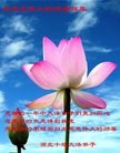 Published on 2/13/2013 ���ֹ�,��½�󷨵��ӹ�ףʦ��������֣�44����
