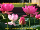 Published on 2/13/2013 ���ֹ�,��½�󷨵��ӹ�ףʦ��������֣�51����
