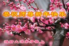 Published on 2/13/2013 ���ֹ�,��½�󷨵��ӹ�ףʦ��������֣�31����
