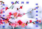 Published on 2/13/2013 ���ֹ�,��½�󷨵��ӹ�ףʦ��������֣�31����
