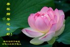 Published on 2/13/2013 ���ֹ�,��½�󷨵��ӹ�ףʦ��������֣�31����

