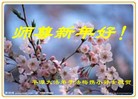 Published on 2/13/2013 ���ֹ�,��½�󷨵��ӹ�ףʦ��������֣�31����

