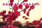 Published on 2/13/2013 ���ֹ�,��½�󷨵��ӹ�ףʦ��������֣�31����

