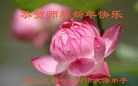 Published on 2/13/2013 ���ֹ�,��½�󷨵��ӹ�ףʦ��������֣�31����
