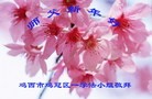 Published on 2/13/2013 ���ֹ�,��½�󷨵��ӹ�ףʦ�����ã�23����

