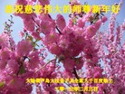 Published on 2/13/2013 ���ֹ�,��½�󷨵��ӹ�ףʦ��������֣�58����
