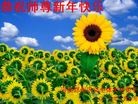 Published on 2/13/2013 ���ֹ�,��½�󷨵��ӹ�ףʦ��������֣�25����
