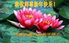 Published on 2/13/2013 ���ֹ�,��½�󷨵��ӹ�ףʦ��������֣�30����
