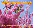 Published on 2/13/2013 ���ֹ�,��½�󷨵��ӹ�ףʦ��������֣�36����
