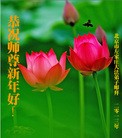 Published on 2/13/2013 ���ֹ�,��½�󷨵��ӹ�ףʦ��������֣�37����
