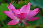 Published on 2/13/2013 ���ֹ�,��½�󷨵��ӹ�ףʦ��������֣�37����
