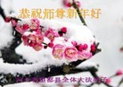 Published on 2/13/2013 ���ֹ�,��½�󷨵��ӹ�ףʦ��������֣�31����

