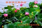 Published on 2/13/2013 ���ֹ�,��½�󷨵��ӹ�ףʦ��������֣�31����
