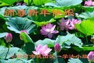 Published on 2/13/2013 ���ֹ�,��½�󷨵��ӹ�ףʦ��������֣�52����
