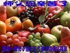 Published on 2/13/2013 ���ֹ�,��½�󷨵��ӹ�ףʦ��������֣�31����
