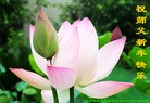 Published on 2/13/2013 ���ֹ�,��½�󷨵��ӹ�ףʦ��������֣�31����
