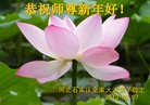 Published on 2/13/2013 ���ֹ�,��½�󷨵��ӹ�ףʦ��������֣�34����
