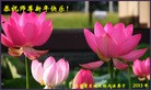 Published on 2/13/2013 ���ֹ�,��½�󷨵��ӹ�ףʦ��������֣�34����
