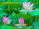 Published on 12/29/2015 ���ֹ�,��½�󷨵��ӹ�ףʦ���������(33��)
