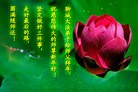 Published on 2/13/2013 ���ֹ�,��½�󷨵��ӹ�ףʦ��������֣�58����
