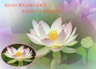 Published on 2/13/2013 ���ֹ�,��½�󷨵��ӹ�ףʦ��������֣�58����
