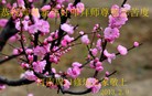 Published on 2/13/2013 ���ֹ�,��½�󷨵��ӹ�ףʦ��������֣�36����
