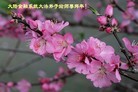 Published on 2/13/2013 ���ֹ�,��½�󷨵��ӹ�ףʦ��������֣�36����
