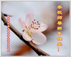 Published on 2/13/2013 ���ֹ�,��½�󷨵��ӹ�ףʦ��������֣�36����
