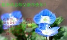 Published on 2/13/2013 ���ֹ�,��½�󷨵��ӹ�ףʦ��������֣�26����

