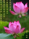 Published on 2/13/2013 ���ֹ�,��½�󷨵��ӹ�ףʦ��������֣�26����
