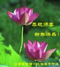 Published on 2/13/2013 ���ֹ�,��½�󷨵��ӹ�ףʦ��������֣�26����
