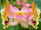 Published on 2/13/2013 ���ֹ�,��½�󷨵��ӹ�ףʦ��������֣�30����

