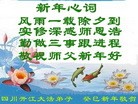 Published on 2/13/2013 ���ֹ�,��½�󷨵��ӹ�ףʦ��������֣�37����
