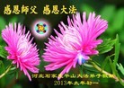 Published on 2/13/2013 ���ֹ�,��½�󷨵��ӹ�ףʦ��������֣�50����
