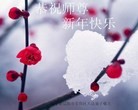 Published on 2/13/2013 ���ֹ�,��½�󷨵��ӹ�ףʦ������ã�41����
