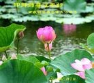 Published on 2/13/2013 ���ֹ�,��½�󷨵��ӹ�ףʦ��������֣�25����
