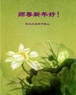 Published on 2/13/2013 ���ֹ�,��½�󷨵��ӹ�ףʦ��������֣�37����
