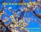 Published on 2/13/2013 ���ֹ�,��½�󷨵��ӹ�ףʦ��������֣�37����
