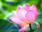 Published on 2/13/2013 ���ֹ�,��½�󷨵��ӹ�ףʦ������ã�41����
