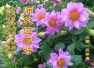 ���ֹ�,��½�󷨵��ӹ�ףʦ������ã�64����
