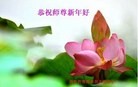 Published on 2/13/2013 ���ֹ�,��½�󷨵��ӹ�ףʦ��������֣�50����
