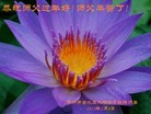 Published on 2/13/2013 ���ֹ�,��½�󷨵��ӹ�ףʦ��������֣�50����
