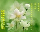 Published on 2/13/2013 ���ֹ�,��½�󷨵��ӹ�ףʦ��������֣�50����
