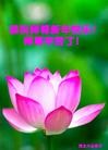 Published on 2/14/2013 ���ֹ�,��½�󷨵��ӹ�ףʦ������ã�45����
