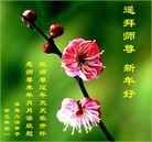 ���ֹ�,��½�󷨵��ӹ�ףʦ������ã�45����
