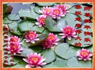 Published on 2/15/2013 ���ֹ�,��½�󷨵��Ӽ����繧ףʦ�����ã�86����
