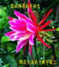 ���ֹ�,��½�󷨵��ӹ�ףʦ������ã�45����

